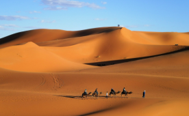 Marrocos com Deserto do Saara & Cidade Azul